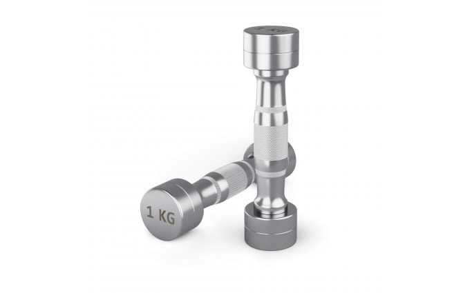 Гантель UNIX Fit PRO круглая хромированная 1 кг, 2 шт. Гантель UNIX Fit PRO круглая хромированная 1 кг, 2 шт.